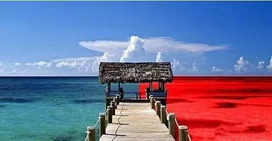 火鍋紅海里還能怎么深扒藍(lán)海區(qū)域？|餐飲界