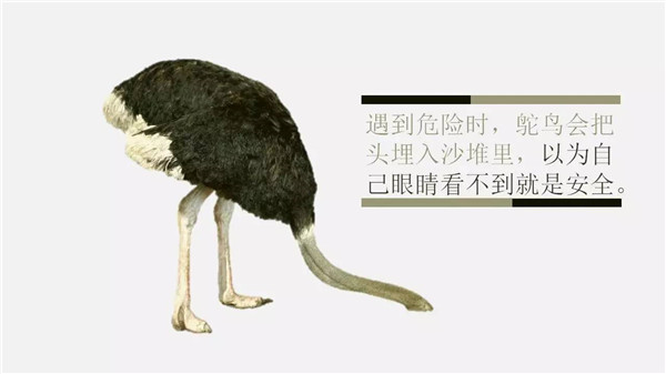 這6個詞，你誤解了任何一個，都能讓你錯過“風口”|餐飲界