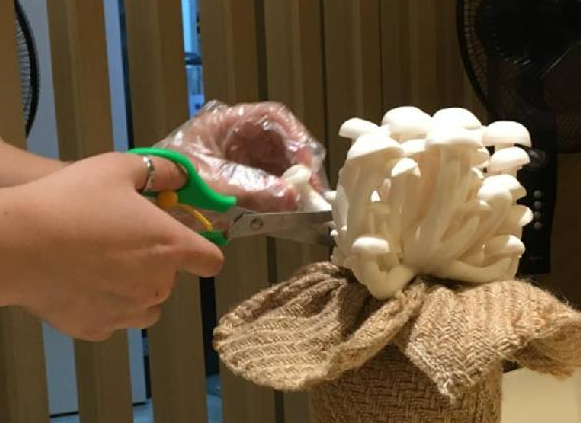 餐飲三巨頭的“爆品”玄機(jī)，其實就是4個字|餐飲界