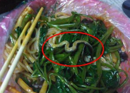 震驚！廣西大學一螺螄粉店竟然吃出一條蛇！真相是？|餐飲界