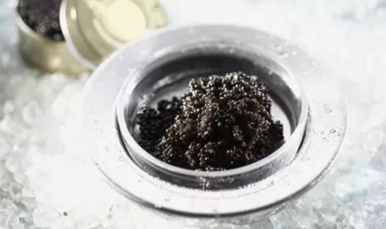 魚子醬到底有多少種？餐飲人快來辨別一下|餐飲界