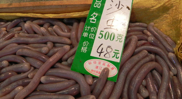 ?？谝徊蛷d沙蟲(chóng)被食客質(zhì)疑不干凈 食藥監(jiān)：沒(méi)毛病|餐飲界