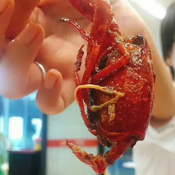 帝都當紅小龍蝦測評：誰家的“麻小”在說謊？|餐飲界