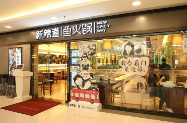 破局傳統(tǒng)營銷思維，看新辣道如何跨界&借勢(shì)瘋狂圈粉？ | 案例|餐飲界