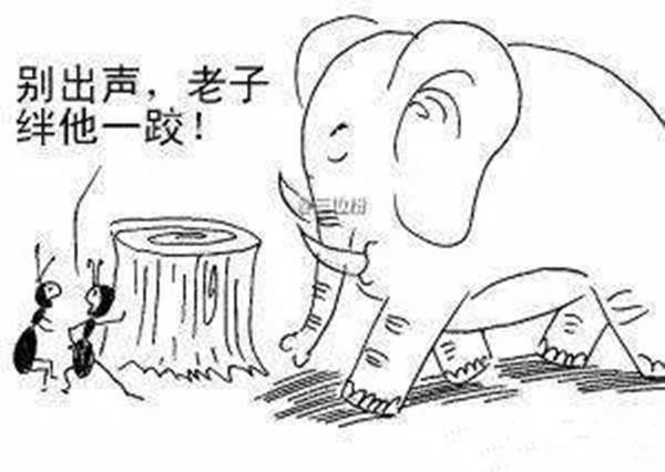 火鍋老板必看：與巴奴共舞的3個戰(zhàn)略機(jī)會！|餐飲界