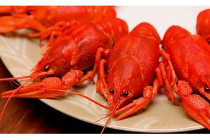 2017美食消費(fèi)報(bào)告：90后成消費(fèi)主體、消費(fèi)者最愛(ài)小龍蝦、6成消費(fèi)者習(xí)慣吃宵夜|餐飲界