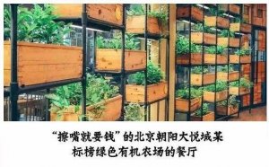 但凡說紙巾要2元的餐廳，我不會去第二次！|餐飲界