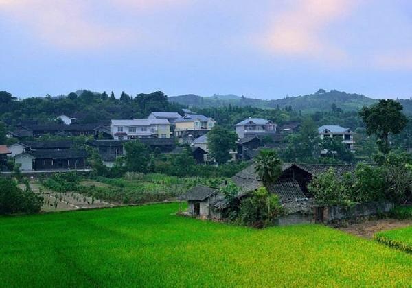 城市水太深，回鄉(xiāng)開餐廳？看完這篇你再做決定……|餐飲界