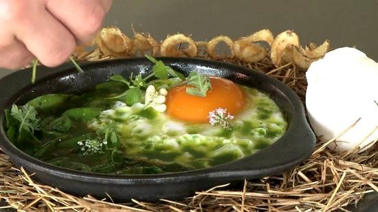 世界第一餐廳NOMA將回歸 新菜單又要搞事情？|餐飲界