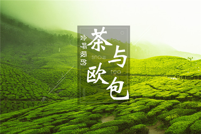 9個月開600家店，漫雪的茶憑啥攻占全國市場？|餐飲界