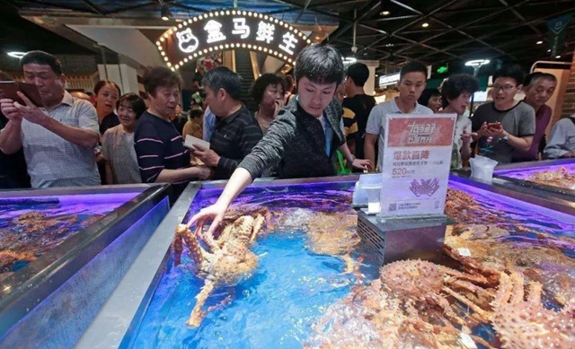 深度報告：盒馬對餐飲有什么企圖？|餐飲界