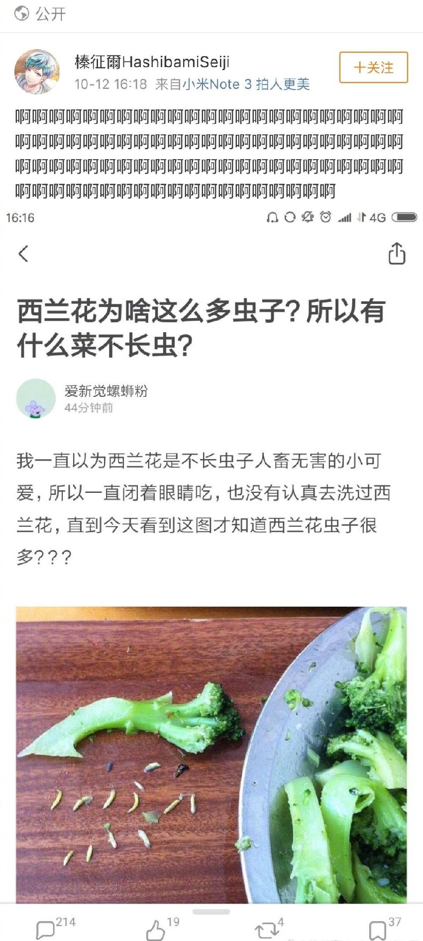 如何去掉西蘭花上的蟲子？99％的人不會(huì)處理啊|餐飲界