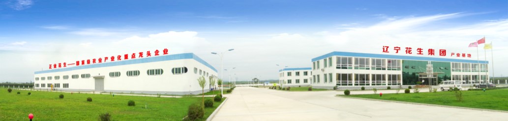 葫蘆島市委常委、副市長張明謙蒞臨遼寧花生集團(tuán)考察指導(dǎo)(圖3)