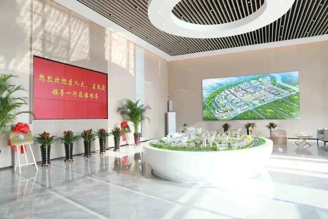 龍港區(qū)人大、區(qū)政府領導一行視察調(diào)研龍港國際醫(yī)療健康產(chǎn)業(yè)園(圖2)