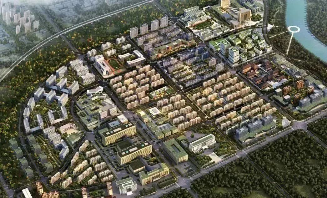 龍港區(qū)人大、區(qū)政府領導一行視察調(diào)研龍港國際醫(yī)療健康產(chǎn)業(yè)園(圖18)
